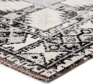 Jaipur Living Polaris Paloma POL20 Gray/Beige Area Rug