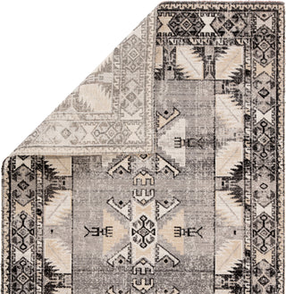 Jaipur Living Polaris Paloma POL20 Gray/Beige Area Rug