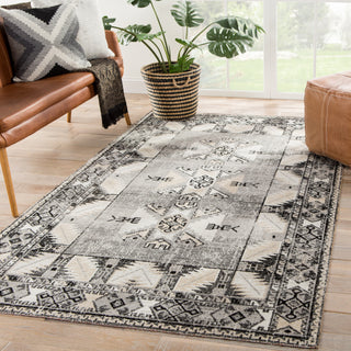 Jaipur Living Polaris Paloma POL20 Gray/Beige Area Rug Lifestyle Image Feature