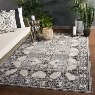 Jaipur Living Polaris Paloma POL20 Gray/Beige Area Rug