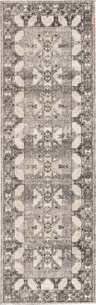 Jaipur Living Polaris Paloma POL20 Gray/Beige Area Rug