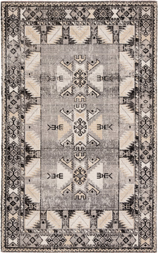 Jaipur Living Polaris Paloma POL20 Gray/Beige Area Rug