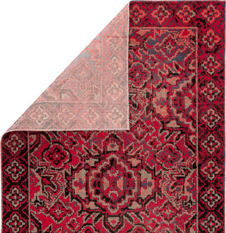 Jaipur Living Polaris Chaya POL21 Red/Black Area Rug