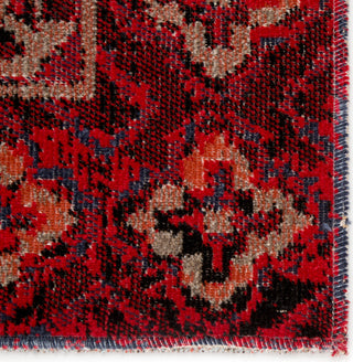 Jaipur Living Polaris Chaya POL21 Red/Black Area Rug