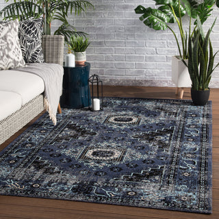 Jaipur Living Polaris Westlyn POL24 Black/Blue Area Rug