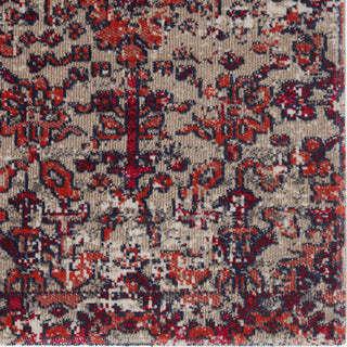 Jaipur Living Polaris Bodega POL36 Red/Gray Area Rug