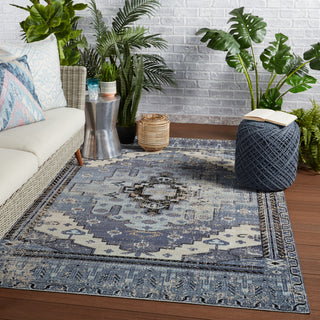 Jaipur Living Polaris Cicero POL39 Blue/Gray Area Rug Lifestyle Image Feature