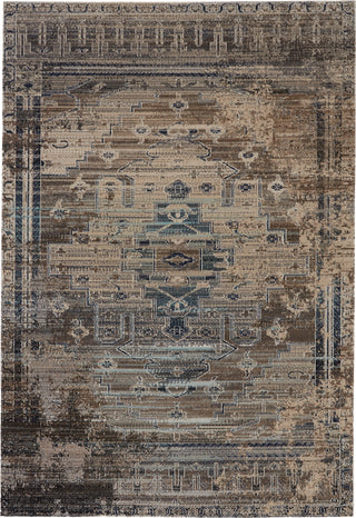 Jaipur Living Polaris Cicero POL41 Taupe/Blue Area Rug Main Image