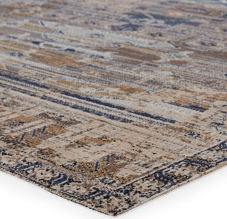 Jaipur Living Polaris Cicero POL42 Tan/Blue Area Rug