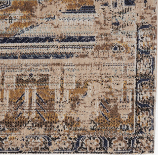 Jaipur Living Polaris Cicero POL42 Tan/Blue Area Rug