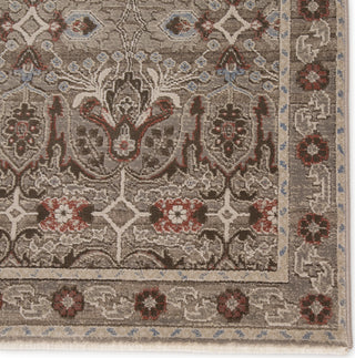 Jaipur Living Portia Esteri POT01 Gray/Red Area Rug