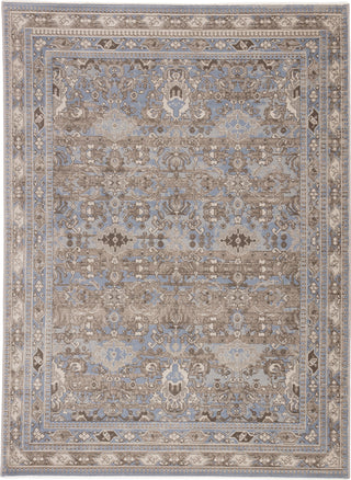 Jaipur Living Portia Murillo POT08 Blue/Gray Area Rug