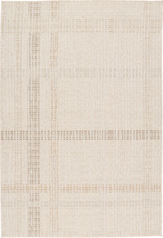 Jaipur Living Paradizo Aeor PRA01 Beige/Light Brown Area Rug main image