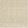 Jaipur Living Paradizo Carina PRA03 Beige Area Rug Detail Image