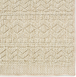 Jaipur Living Paradizo Carina PRA03 Beige Area Rug Detail Image