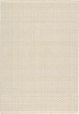 Jaipur Living Paradizo Carina PRA03 Beige Area Rug main image