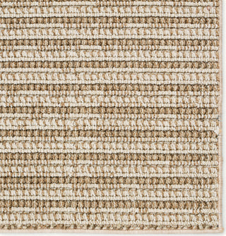 Jaipur Living Paradizo Arlyn PRA04 Cream/Beige Area Rug Detail Image