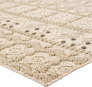 Jaipur Living Paradizo Xyla PRA05 Cream/Brown Area Rug Corner Image