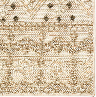 Jaipur Living Paradizo Xyla PRA05 Cream/Brown Area Rug Detail Image