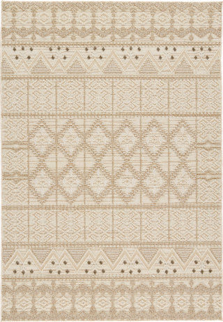 Jaipur Living Paradizo Xyla PRA05 Cream/Brown Area Rug main image