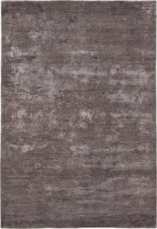 Jaipur Living Project Theory Paratem 2 PRE01 Gray/ Area Rug by Kavi - Top Down