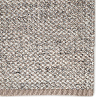 Jaipur Living Pasadena Lamanda PSD03 Taupe/Gray Area Rug