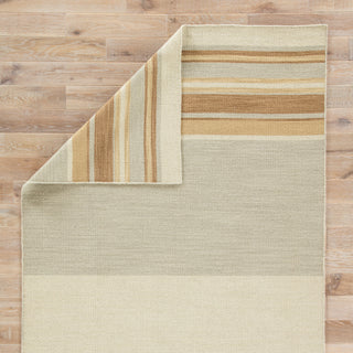 Jaipur Living Pura Vida Kingston PV05 Brown/Gray Area Rug