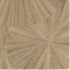Jaipur Living Pathways Sao Paulo PVH19 Taupe/Tan Area Rug by Verde Home Detail Image