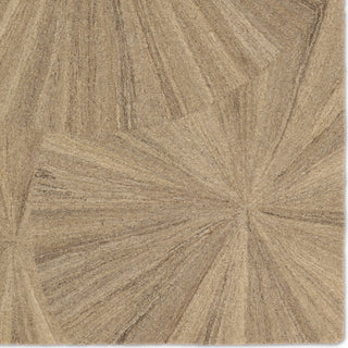 Jaipur Living Pathways Sao Paulo PVH19 Taupe/Tan Area Rug by Verde Home Detail Image