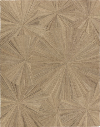 Jaipur Living Pathways Sao Paulo PVH19 Taupe/Tan Area Rug by Verde Home main image