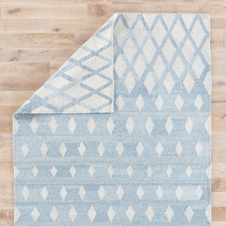 Jaipur Living Ridge Winipeg RDG01 Blue/Cream Area Rug