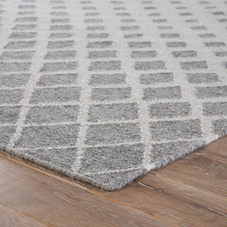 Jaipur Living Ridge Winipeg RDG02 Gray/White Area Rug