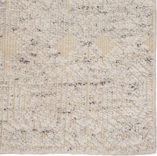 Jaipur Living Reign Abelle REI09 Gray/Beige Area Rug Corner Close Up Image