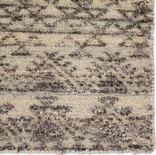 Jaipur Living Reign Prentice REI10 Dark Gray/Taupe Area Rug