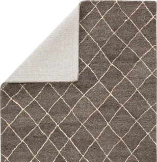 Jaipur Living Riad Gem RIA01 Gray Area Rug