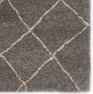 Jaipur Living Riad Gem RIA01 Gray Area Rug