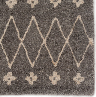 Jaipur Living Riad Sagar RIA06 Gray/White Area Rug