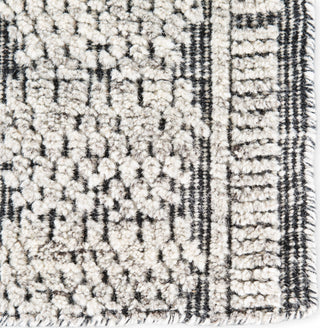 Jaipur Living Rize Torsby RIZ01 Black/Ivory Area Rug