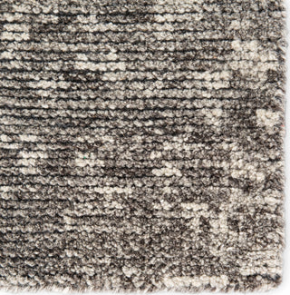 Jaipur Living Rize Zaid RIZ03 Dark Gray/Ivory Area Rug