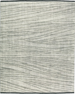 Jaipur Living Rize Farrow RIZ10 Gray/Ivory Area Rug main image