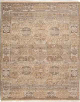 Jaipur Living Reconnext by Jenny Jones Levant RJJ02 Beige/Light Gray Area Rug - Top Down