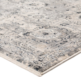 Jaipur Living Revel Morgiana RVL06 Gray/Ivory Area Rug