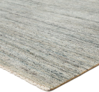 Jaipur Living Saga Origin SAG02 Light Blue/Light Gray Area Rug