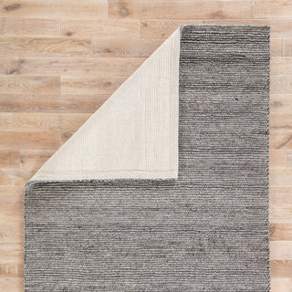 Jaipur Living Sandia Blaine SAN02 Gray Area Rug