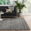 Jaipur Living Sandia Blaine SAN02 Gray Area Rug Lifestyle Image Feature