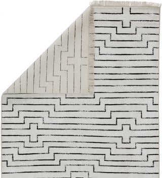 Jaipur Living Satellite Alloy SAT02 White/Black Area Rug