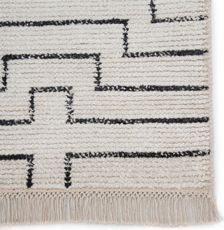 Jaipur Living Satellite Alloy SAT02 White/Black Area Rug