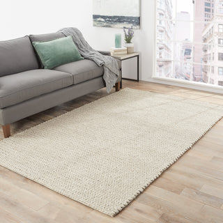 Jaipur Living Scandinavia Dula Braiden SCD08 Gray Area Rug Lifestyle Image Feature