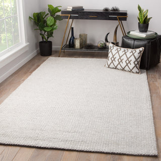 Jaipur Living Scandinavia Dula Braiden SCD25 Light Gray Area Rug Lifestyle Image Feature