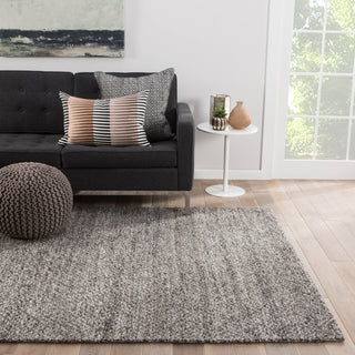 Jaipur Living Scandinavia Rakel Karlstadt SCR07 Gray/Silver Area Rug Lifestyle Image Feature